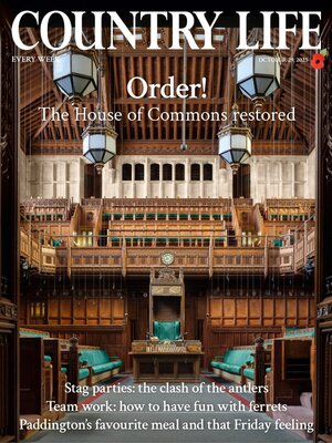 Country Life - Magazine